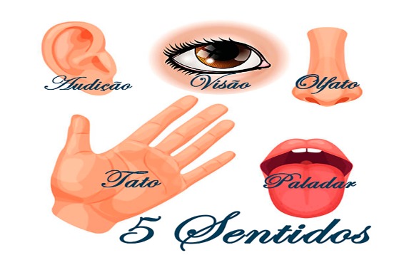 5 sentidos2.jpg