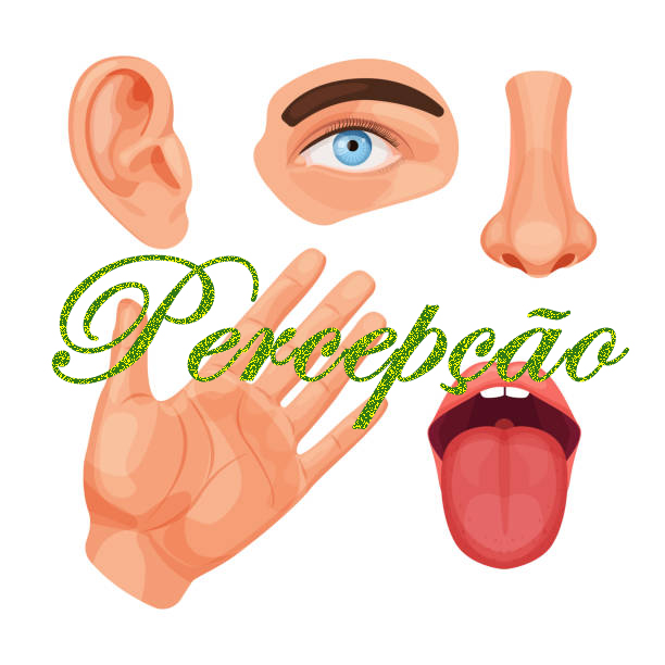 percpção.jpg